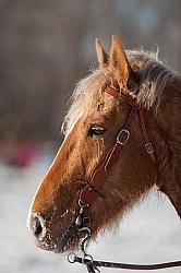 Hideout Ranch Winter Workshop
