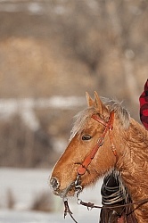 Hideout Ranch Winter Workshop
