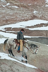 Qarter Horse Ridden in Winter
