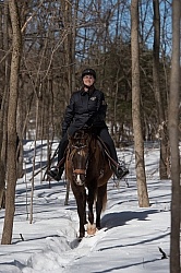 Winter Trail Riding Vertical
