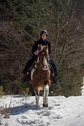 Winter Trail Riding Vertical