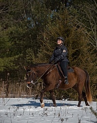 Winter Trail Riding Vertical