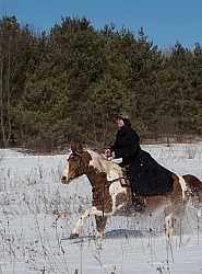 Winter Trail Riding Vertical