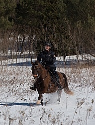 Winter Trail Riding Vertical