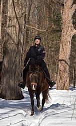 Winter Trail Riding Vertical
