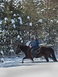 Winter Trail Riding
