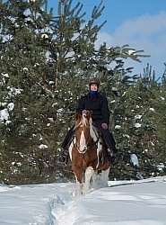 Winter Trail Riding