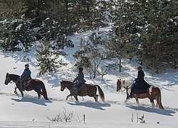 Winter Trail Riding in Group