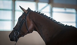 WindfieldLegacySky Oldenburg Inspection