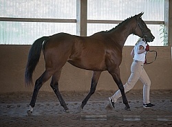 WindfieldLegacySky Oldenburg Inspection