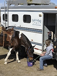Watering After Ride