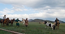 Roping one of the horses