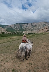Baagii with two Greys in Tow heading into Turtle Rock
