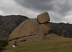 Turtle Rock