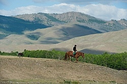 Mongolian Rider
