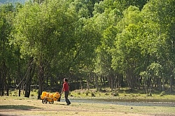 Fetching Water