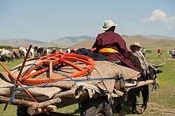 Saara on the Wagon with the Ger