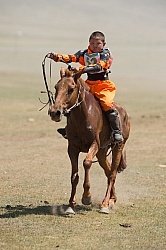 The local Nadaam race