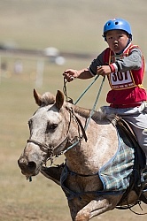 The local Nadaam race
