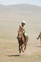 The local Nadaam race