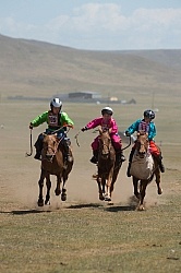 The local Nadaam race