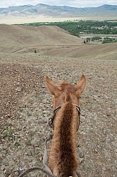 View from the Saddle