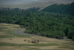 View of a herdsman from the lookout