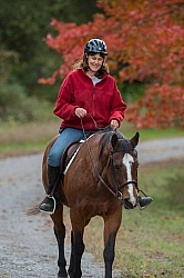 Senior Horse Being Ridden