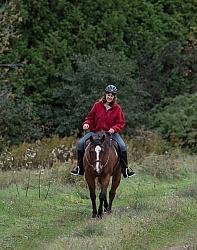 Senior Horse Being Ridden
