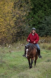 Senior Horse Being Ridden