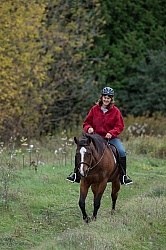 Senior Horse Being Ridden