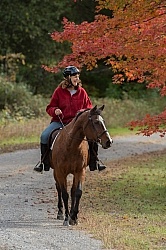 Senior Horse Being Ridden