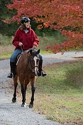 Senior Horse Being Ridden