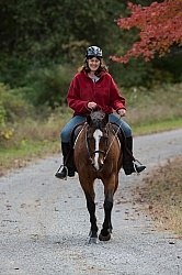 Senior Horse Being Ridden