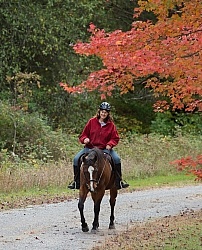 Senior Horse Being Ridden
