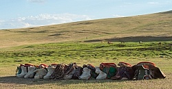 The Saddles packed up for the night