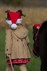 Holiday Rascal and Sienna