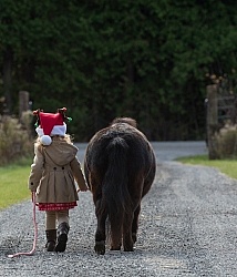 Holiday Rascal and Sienna