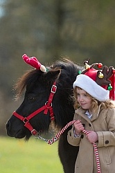 Holiday Rascal and Sienna