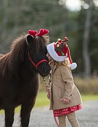 Holiday Rascal and Sienna