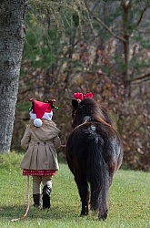 Holiday Rascal and Sienna