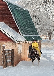 Winter Riding Western Vertical