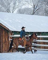 Winter Riding Western Vertical
