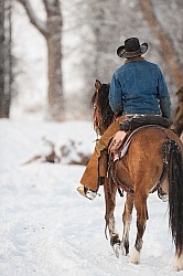 Winter Riding Western Vertical