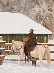 Winter Riding Western Vertical