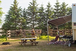 Campsite at Horse country Campground