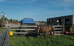 Campsite at Horse country Campground