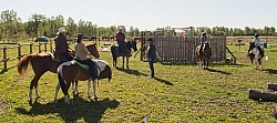 Extrme Cowboy Clinic with Lantz Mclaren at Horse Country