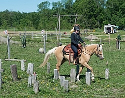 Extrme Cowboy Clinic with Lantz Mclaren at Horse Country