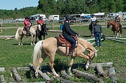 Extrme Cowboy Clinic with Lantz Mclaren at Horse Country